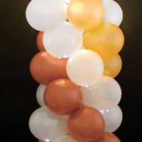 GlowingElegnce